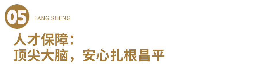 05.png